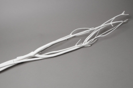 x010sx Pack of 3 white Mitsumata H120cm