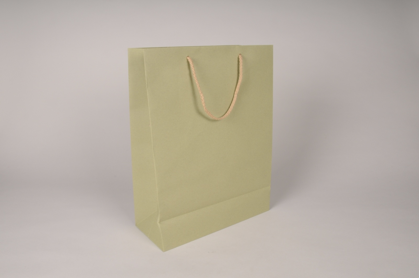 Paquet de 12 sacs kraft vert 27x12cm H37cm