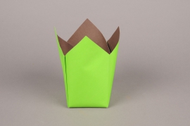 A246QX Paquet de 25 cache-pots en papier étanche vert 8.5cm x 8.5cm H17cm