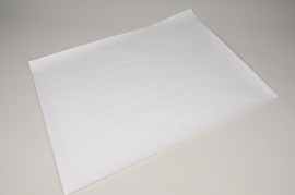 PC-000005 Ream 10kg of 110g sheets white kraft paper 65x100cm
