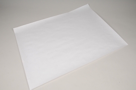PC-000008 Rame 10Kg de papier kraft blanc 80g 65x100cm