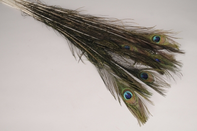 pl01lw Sachet de 25 plumes de paon naturelles H107cm
