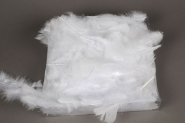 pl21lw Box of white turkey feathers 45gr