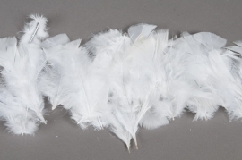 pl21lw Box of white turkey feathers 45gr