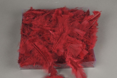pl24lw Bo�te de plumes bordeaux 45g