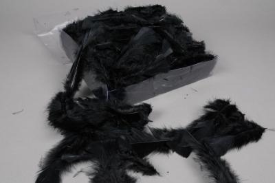 pl36lw Boite de plumes noires 45gr