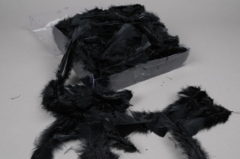 pl36lw Box of turkey feathers black 45gr