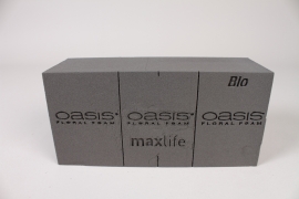 QV-000194 Box of 20 brick of biodegradable floral foam
