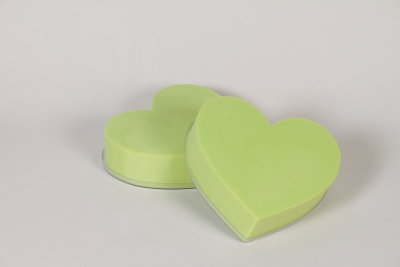 QX-000161 Paquet de 2 coeurs en mousse florale vert anis D16cm
