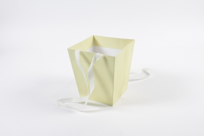 QX-000221 Pack of 10 elegant medium cream bags 16.5x12.5cm H18cm