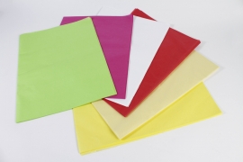 QX-000249 Ream of 240 multicolor tissue paper sheets 50x75cm