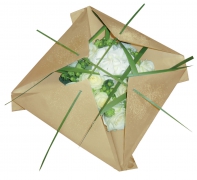 A911QX Ream of 250 sheets natural kraft paper 60x40cm