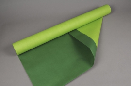 A730QX Rouleau de papier kraft vert / vert pomme 80cmx50m