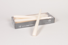 RP-000020 Boîte de 12 bougies flambeaux crème H25cm