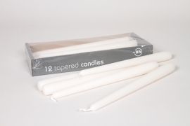 RP-000025 Box of 12 white torch candles H25cm