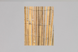 SF-000028 Canisse bambou fendu 300x150cm