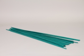 SF-000045 Lot de 25 tuteurs en bois vert H60cm