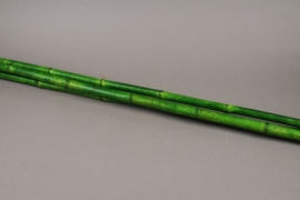 t153ab Set of 3 green bamboos D3cm H180cm