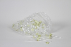 T7-000056 Paquet de 100 pipettes 10cc D1,6cm H8cm