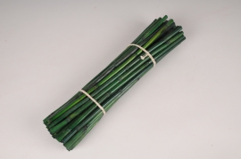 tv05ab Bunch of 38 green bamboo stems H40cm