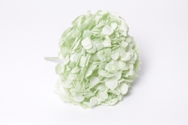 V2-000062 Light green preserved hydrangea H20cm