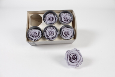 V2-000070 Bo�te de 6 roses stabilis�es gris mauve