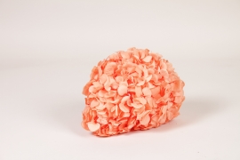 V2-000080 Hortensia preservé corail orange H20cm