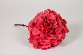 V2-000085 Hortensia pr&eacute;serv&eacute; rose fuchsia H33cm