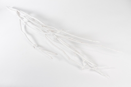 V6-000004 Pack of 3 white Mitsumata H120cm