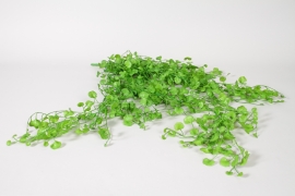 VB-000178 Artificial green dicondra H85cm