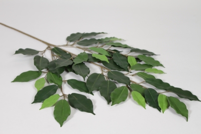 VB-000188 Branche de ficus artificiel vert retardant feu H75cm