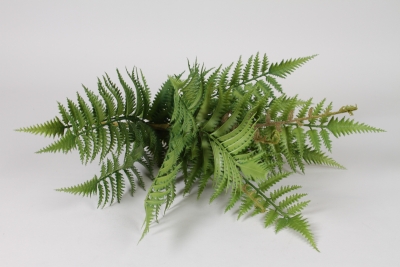 VB-000194 Foug�re artificielle verte H50cm