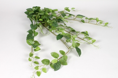 VB-000199 Artificial variegated green fittonia pick H80cm