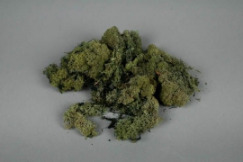 x002el Mousse Islande préservée verte 