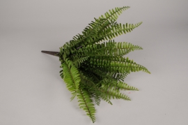 x003jp Green artificial fern H38cm
