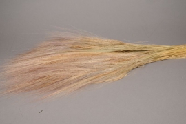 x006ab Dried natural barba 200gr