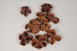 x006ec Natural dried landlotus