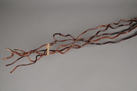 x006sx Pack of 5 brown Kuwa H140cm