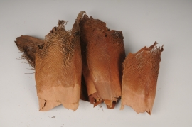 x007ec Natural dried palm net 250g