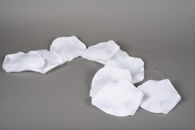 x007fz Guirlande de p�tales de roses blanches D16cm H150cm