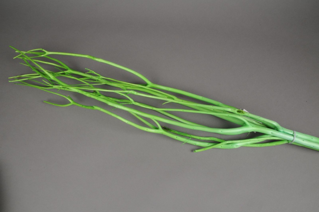 Green mitsumata branches H120cm