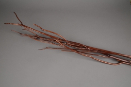 x008sx Branches de mitsumata chocolat H120cm