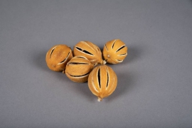 x010lw Dried whole yellow lemon 250g