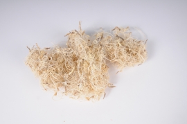 x010wg Bleached dried curly moss