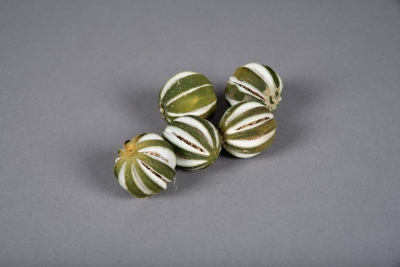x013lw Dried whole green orange 