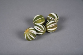 x013lw Dried whole green orange 