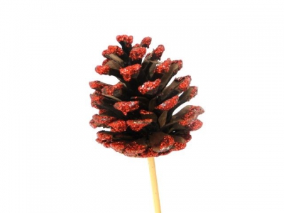 X015Y8 Set de 12 pics pommes de pin rouges H20cm 