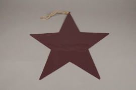 X016L7 Purple metal star D50cm