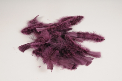 x017lw Bo�te de plumes pourpres 45gr