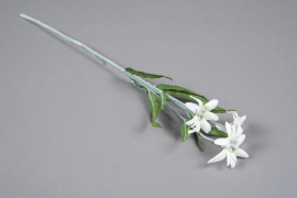 x018am White artificial edelweiss H50cm